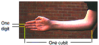 An out-stretched arm and fingers illustrating cubits and digits.